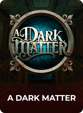 A Dark Matter